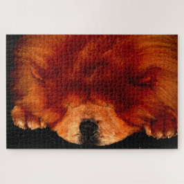 Puzzle Chow durmiente 20x30 1014pc jpa