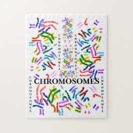 Puzzle Chromosomes Challenging Fun for ages 10 and Up 