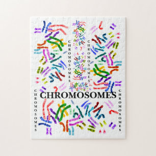 Puzzle Chromosomes Challenging Fun for ages 10 and Up 