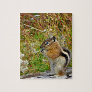 Puzzle Chubby lindo chipmunk sobre trozo de madera