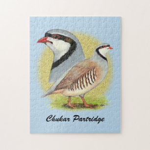 Puzzle Chukar Partridge Combo