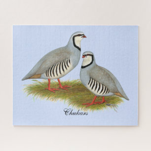 Puzzle Chukar Partridge Pair