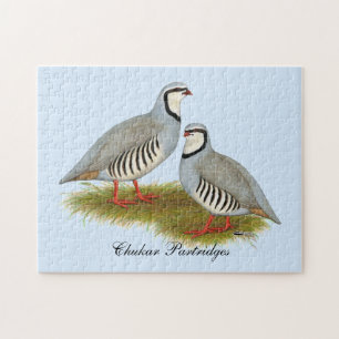 Puzzle Chukar Partridge Pair