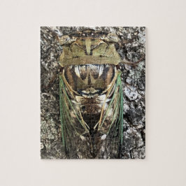 Puzzle Cicada