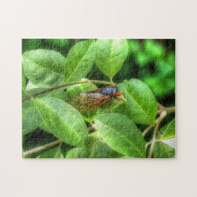 Puzzle Cicata de ojos rojos (Horizontal)