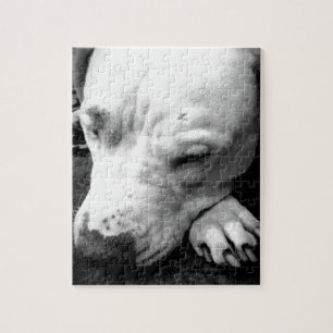 Puzzle cicatriz de harry potter perro pit bull blanco