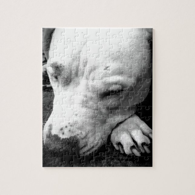 Puzzle cicatriz de harry potter perro pit bull blanco (Vertical)
