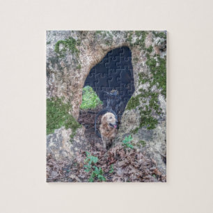 Puzzle Ciclo