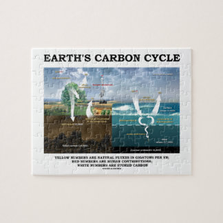 Puzzle Ciclo del carbono de la tierra (geología)