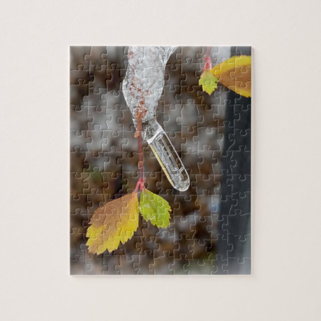 Puzzle Ciclo en hoja (Vertical)