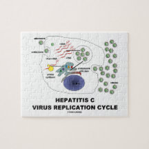 Ciclo viral de la réplica de la hepatitis C