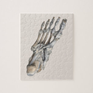 Puzzle Ciencia de anatomía humana vintage, pies de esquel