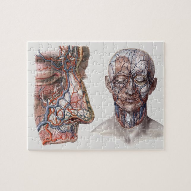 Puzzle Ciencia vintage Anatomía Humana Caras y Caras (Horizontal)