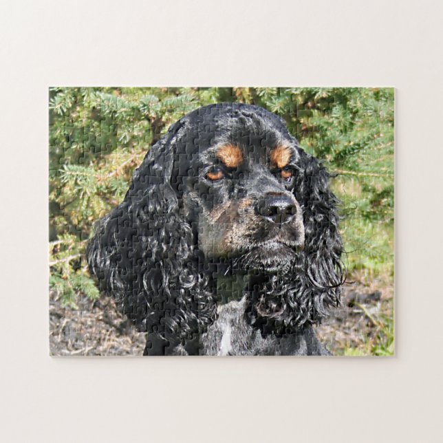 Puzzle Cierre de Cocker Spaniel 2 (Horizontal)