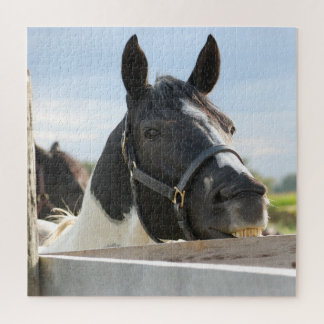 Puzzle Cierre de la cerca de mascar caballos