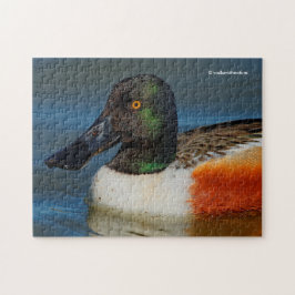 Puzzle Cierre de un bonito pato del norte
