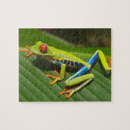 Puzzle Cierre de una rana de árbol rojo en una hoja