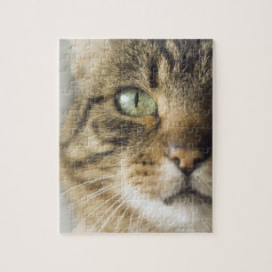 Puzzle Cierre del gato (enfoque en el ojo)
