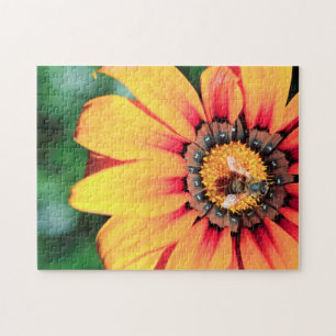 Puzzle Cierre Extremo De Un Polen Colectivo De Abejas