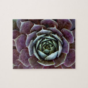 Puzzle Cierre Purple Succulent