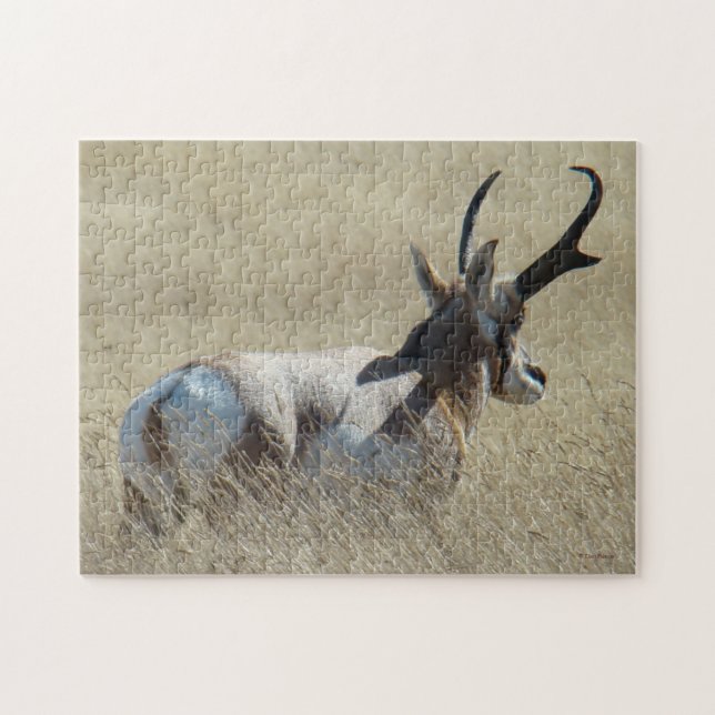 Puzzle Ciervo Berrendo A14 Buck Sunshine (Horizontal)