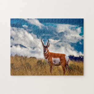 Puzzle Ciervo berrendo Montana.