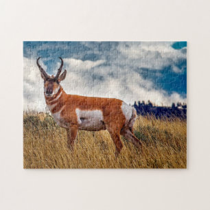 Puzzle Ciervo berrendo Wyoming.