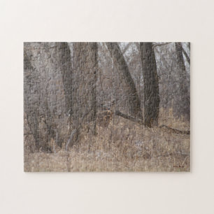 Puzzle Ciervo de cola blanca D2 Spring Buck en Cottonwood