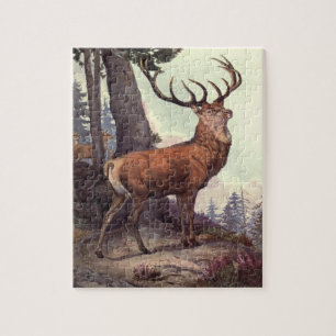 Puzzle Ciervo Rojo por Winifred Austen, Animales Salvajes