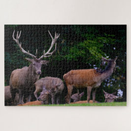 Puzzle Ciervo salvaje buck naturaleza manada asta ciervo