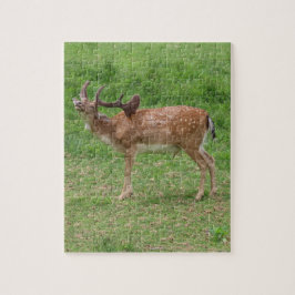 Puzzle ciervos, gamos al aire libre