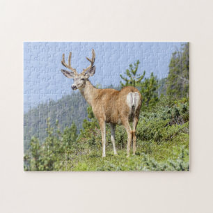 Puzzle Ciervos majestuosos
