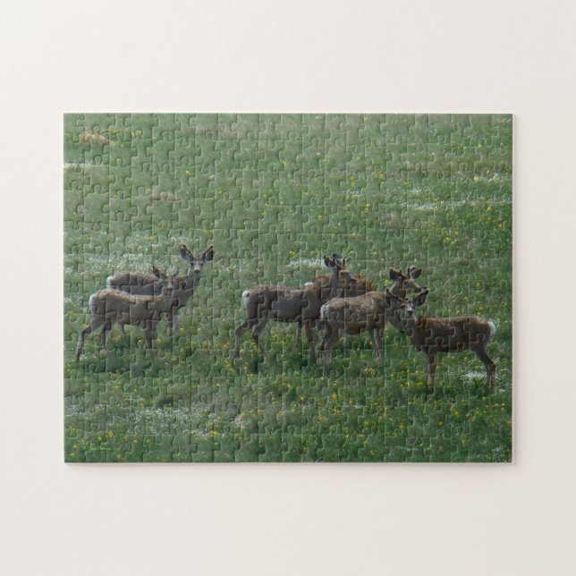 Puzzle Ciervos Mula D7 Machos de Primavera (Horizontal)