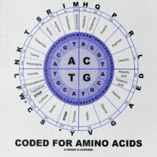 Puzzle Cifrado para los aminoácidos (DNA del código