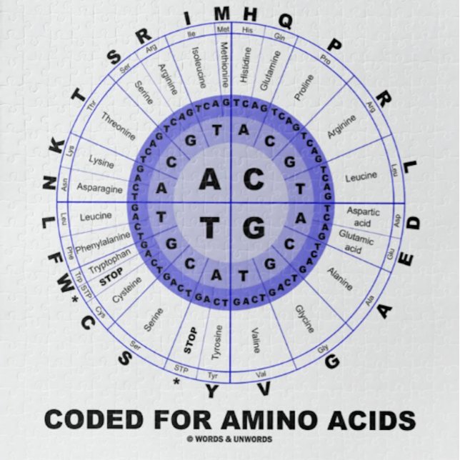 Puzzle Cifrado para los aminoácidos (DNA del código (Jigsaw puzzle featuring codon wheel for anyone who is "Coded For Amino Acids" & that means everyone!)