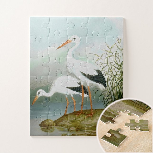 Puzzle Cigüeña blanca, Ilustraciones de pájaro (Subido por el creador)