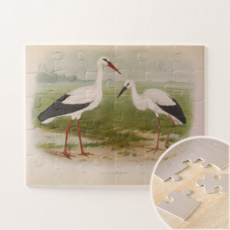 Puzzle Cigüeña blanca - joven y adulta, Ilustraciones