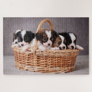 Puzzle Cinco adorables cachorros en una canasta
