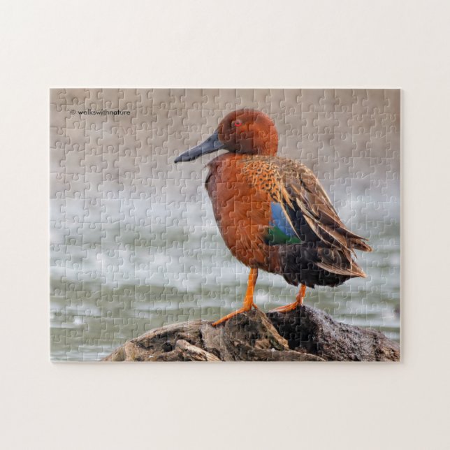 Puzzle Cinnamon Verde azulada Drake mira hacia atrás (Horizontal)