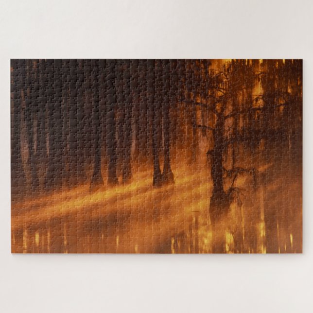 Puzzle Cipreses | Parque Estatal George Smith (Horizontal)
