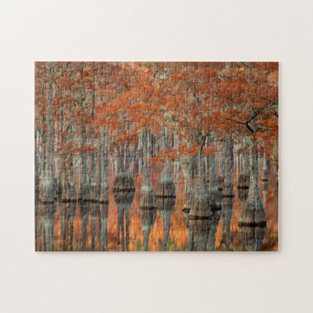 Puzzle Cipreses | Parque Estatal George Smith, Georgia (Horizontal)