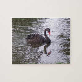 Puzzle Cisne