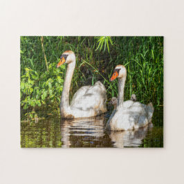 Puzzle cisne