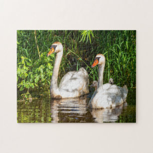Puzzle cisne