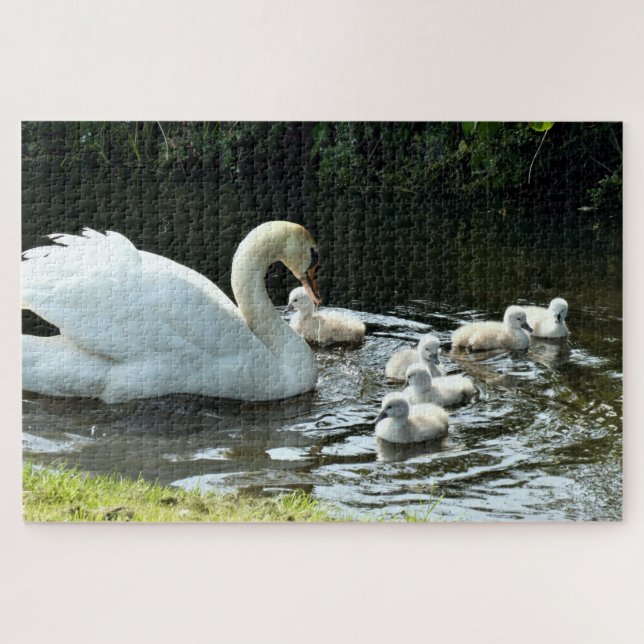 Puzzle Cisne blanco con garrapatas (Horizontal)
