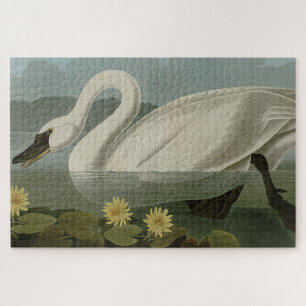 Puzzle Cisne común estadounidense - Los pájaros de los Es