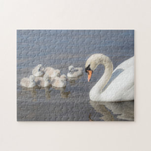 Puzzle Cisne de cignenes jóvenes