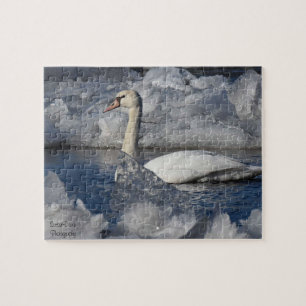Puzzle Cisne juvenil en río Icey