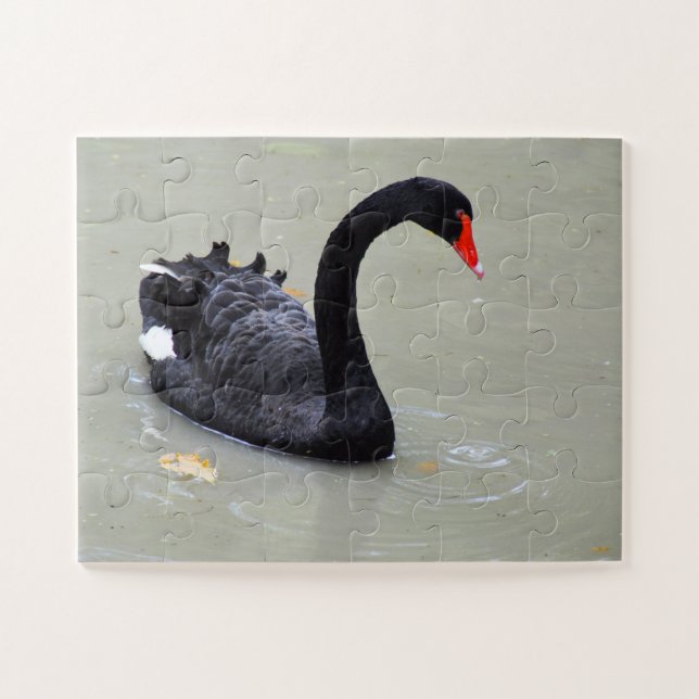 Puzzle Cisne negra (Horizontal)