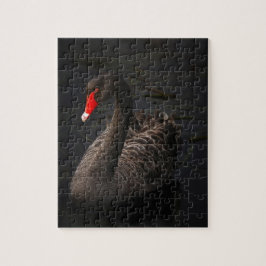 Puzzle Cisne negro